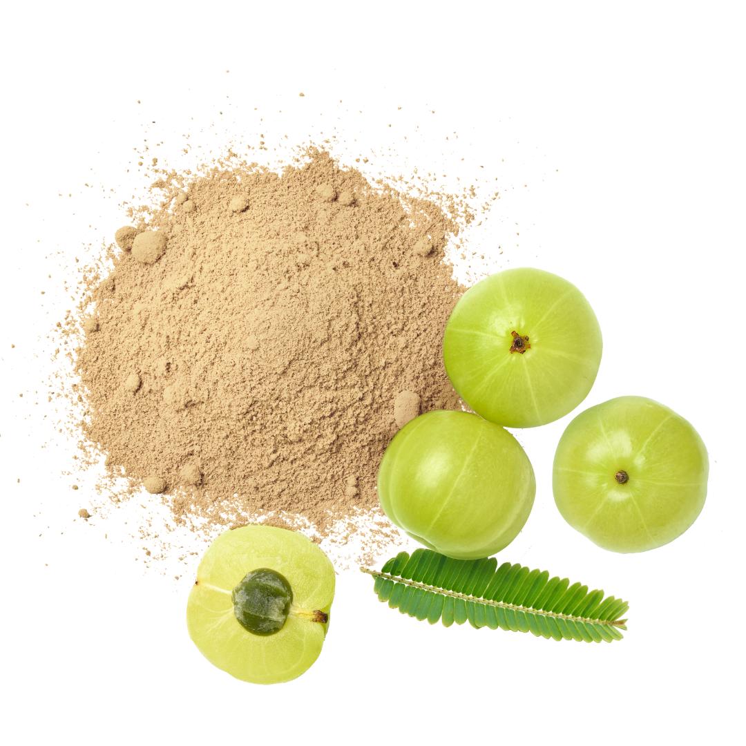Organic India Amla Powder, Whole Hera, Improves Immunity, Boosts Antioxidant by keshav keshari