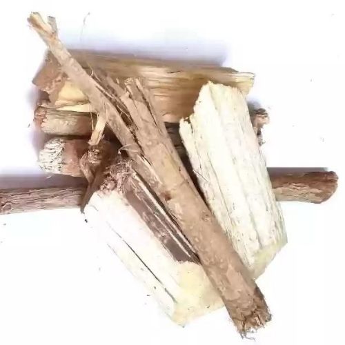 Castor Root - Erandi Mool - Arandi Jadd - Ricinus Communes by KeshavKeshari