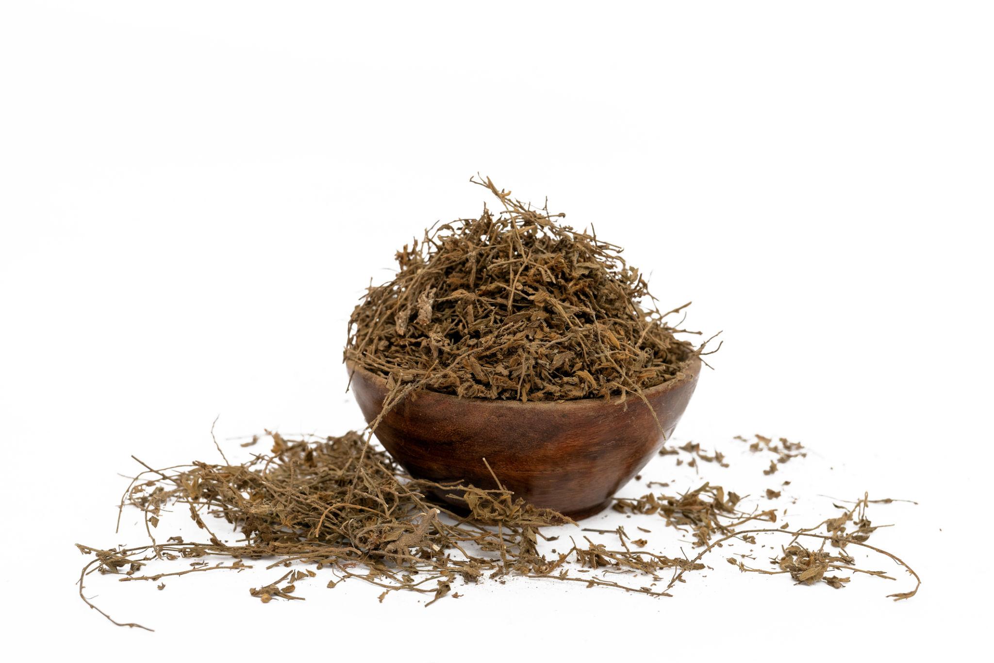 Shankhpushpi 100% Natural Pure | Traditional Ayurvedic HerbSeedPowder | Supports Wellness Daily Health | Ideal for Herbal Remedies by keshav keshari