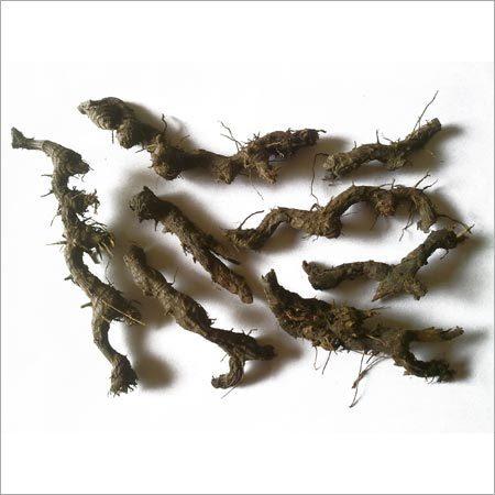 Pure Nagarmotha Roots (Whole Mustak/Cyperus Rotundus) | Raw Nutgrass Tubers for DIY Hair Oil, Digestion & Herbal Decoctions by keshav keshari