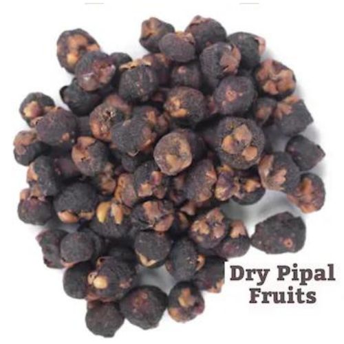 Pipal Phal - Peepal Fal - Pipal Fruit - Ficus religiosa by KeshavKeshari