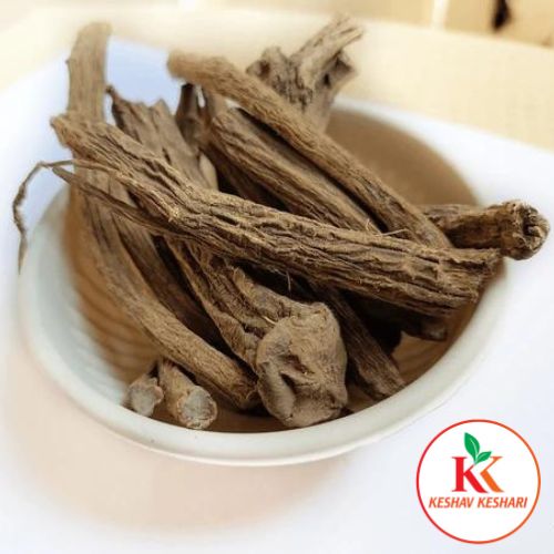 Pushkarmool - Pushkar Mool - Orris Root - Inula Racemosa by KeshavKeshari