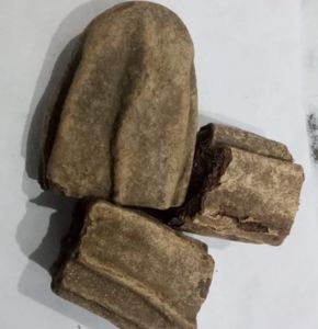 Balam Kheera Phal (Dry) - Balam Khira Fruit - Kigelia Africana by keshavkeshari