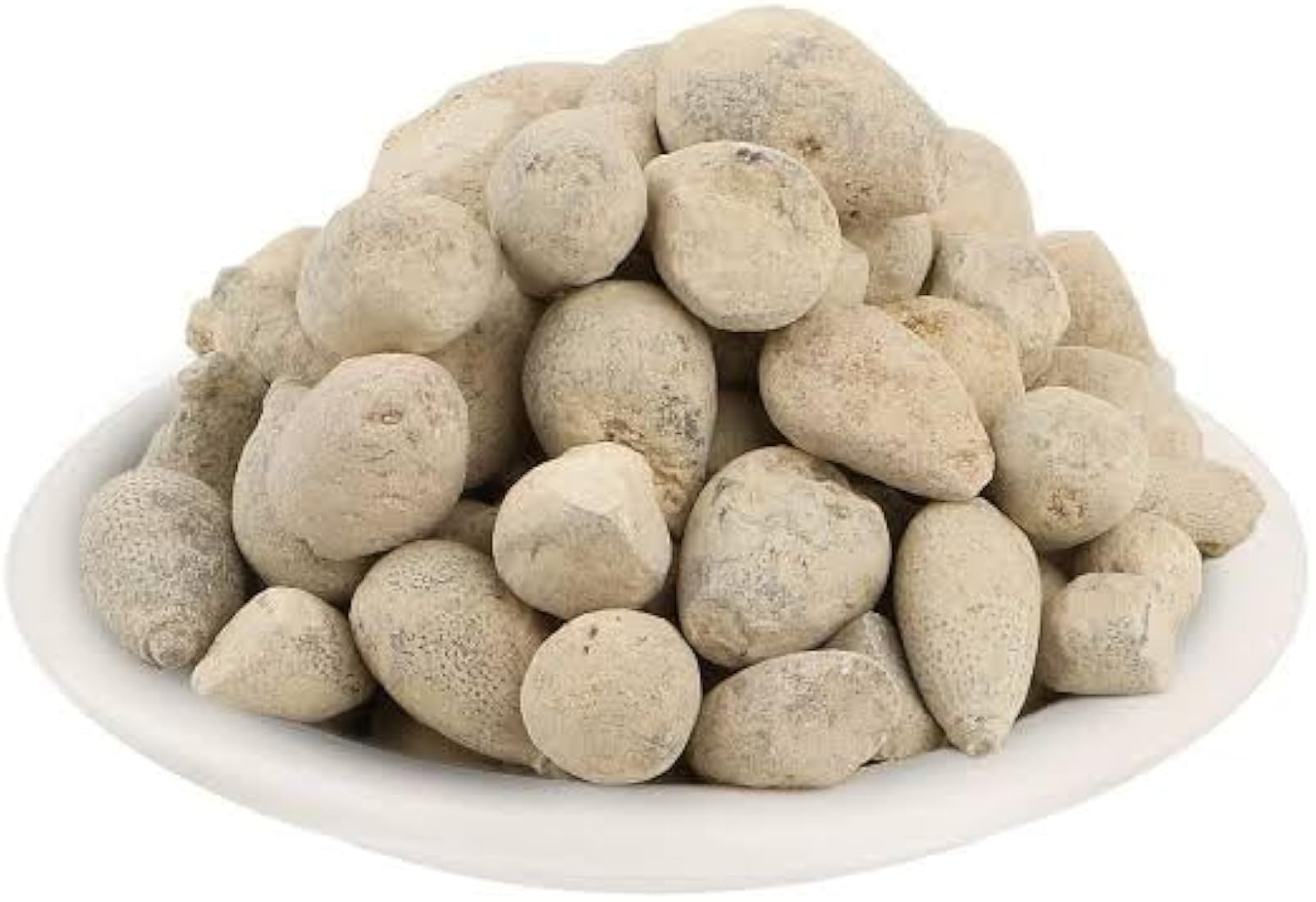 Hajrul Yahood - Ber Patthar - Ber Pathar - Fish Stone - Sang e Sarmahi - Hajrul Yahood - Fossil Encrinite by keshavkeshari