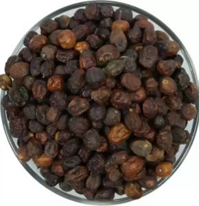 Bakayan Phal - बकायन फल - Bakain Fal - Persian Lilac - Melia azedarach by Keshav Keshari