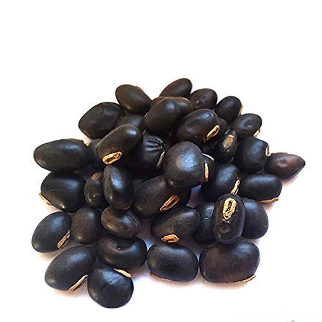 Kauch Beej - Kala  Kauch Beej - Kaunch Seeds (Black) - Konch - Mucuna Pruriens Black - Cowhage - Alkushi by Keshav Keshari