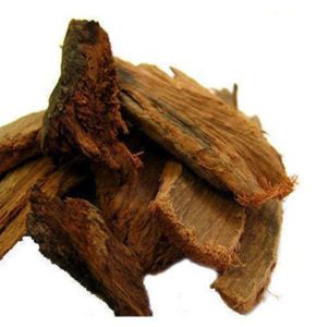 Ashoka Chhal - Ashoka Chal - Ashoka Bark - Saraca indica by Keshav Keshari