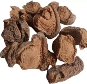 Behman Red Surkh - Bahman Lal Raw herb - Salvia haematodes by keshavkeshari