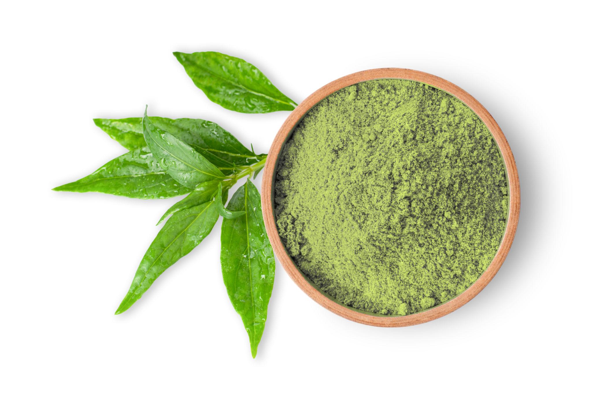 Kalmegh Powder | Supports Liver Health, Digestion & Immunity | Andrographis paniculata, Made from Kalmegh herb, Ayurvedic Herbal supplement, 100% Pure by keshav keshari