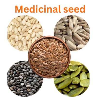 Edible and Medicinal Seeds