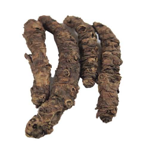 Pure Kutki root for Liver - Katuki - Picrorhiza Kurroa by keshav keshari