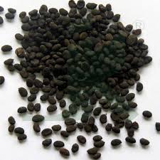 Bakuchi (Beej) - Babchi Seeds - Bavachi Beej - Bavchi Beej - Psoralea Seeds - Purple Fleabane - Psoralea Corylifolia by Keshav Keshari