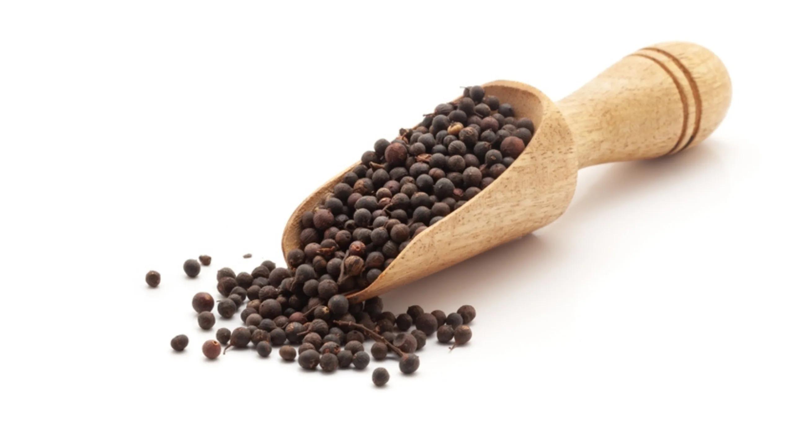 VAIVIDANG/BAI BIDANG/VIDANGA/EMBELIA RIBES/FALSE BLACK PEPPER by keshav keshari