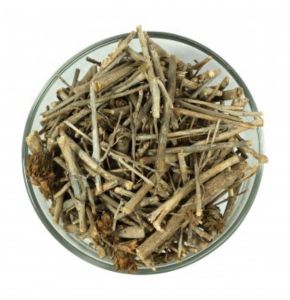 Black Bansa (Panchang) - Vajradanti - Piya Bansa - Barleria Prionitis - Adhatoda Vasika - Vasaka - Malabar Nut Tree by keshavkeshari