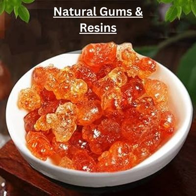 Natural Gums & Resins (गोंद)