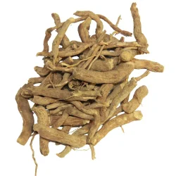 Sarpgandha (Roots) - Snake Root - Patala Garuda - Rauvolfia Serpentina by keshav keshari