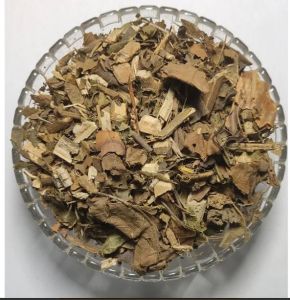 Arni Panchang (Whole Dried Plant) - Agnimanth - Arani - Clerodendrum Phlomidis by Keshav Keshari