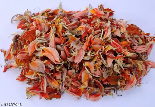 Dry Tesu (Flower) - Kesuda - Palash (Phool) - Phool Tesu - Dhak Fool - Butea Monosperma by Keshav Keshari