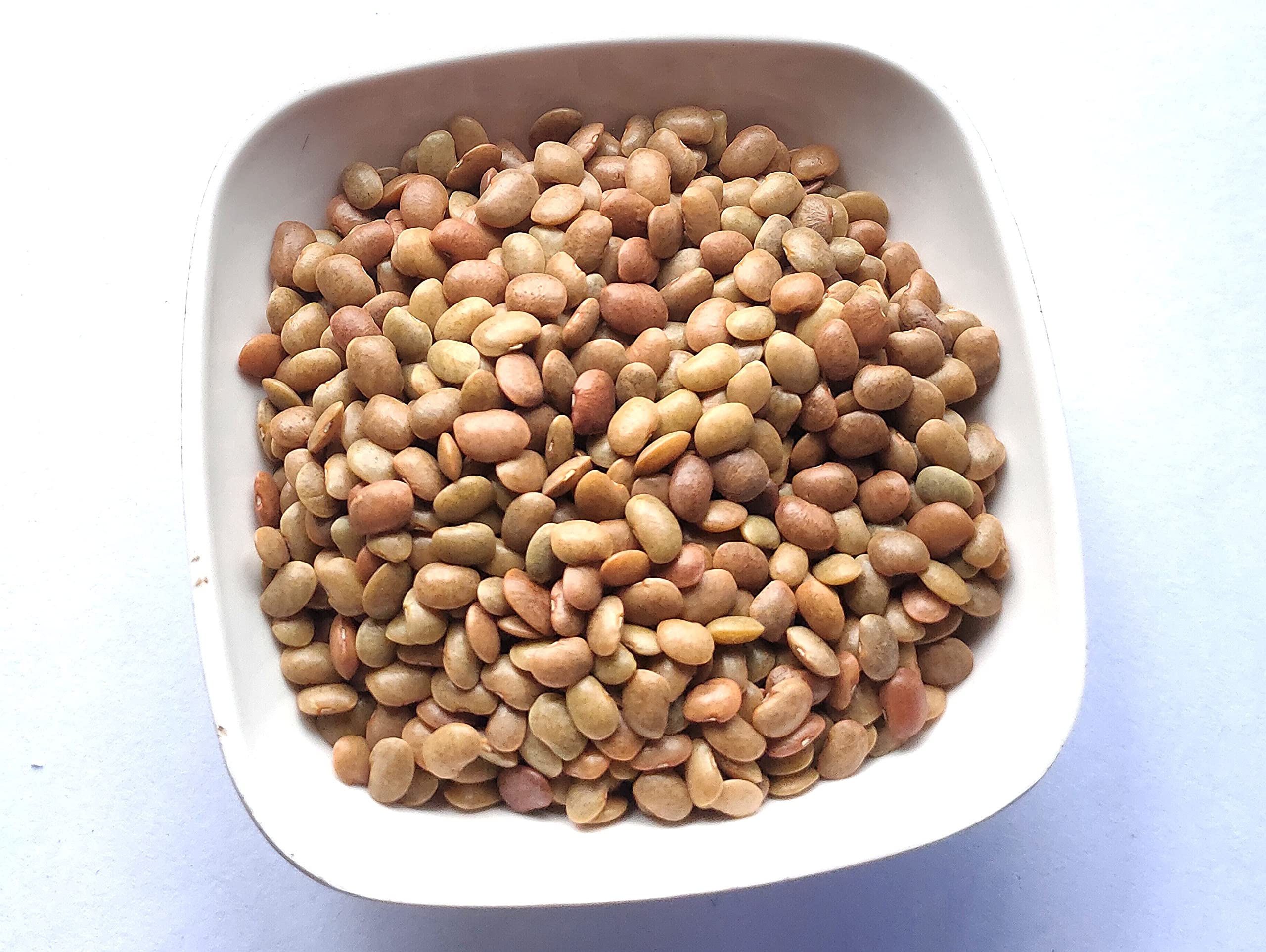 Kulthi Dal - Gahat Dal - Kuktha - Dolichos Biflorus - Horse Gram - Macrotyloma Uniflorum by Keshav Keshari