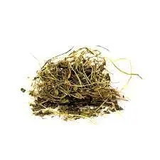 Herbs Organic Dried Brahmi/Bacopa monnieri/Dried Brahmi Leaves by keshav keshari