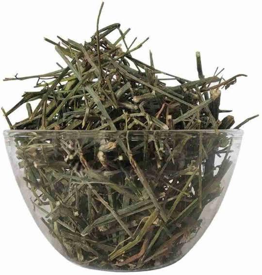 Chirayata | Green Chiraita|Hara Chirayata|Chirata|Chirayta Leaves & Sticks Bitter Stick | चिरायता | कडुआ चिरायता | हरा चिरायता पत्ती व लकड़ी by keshav keshari