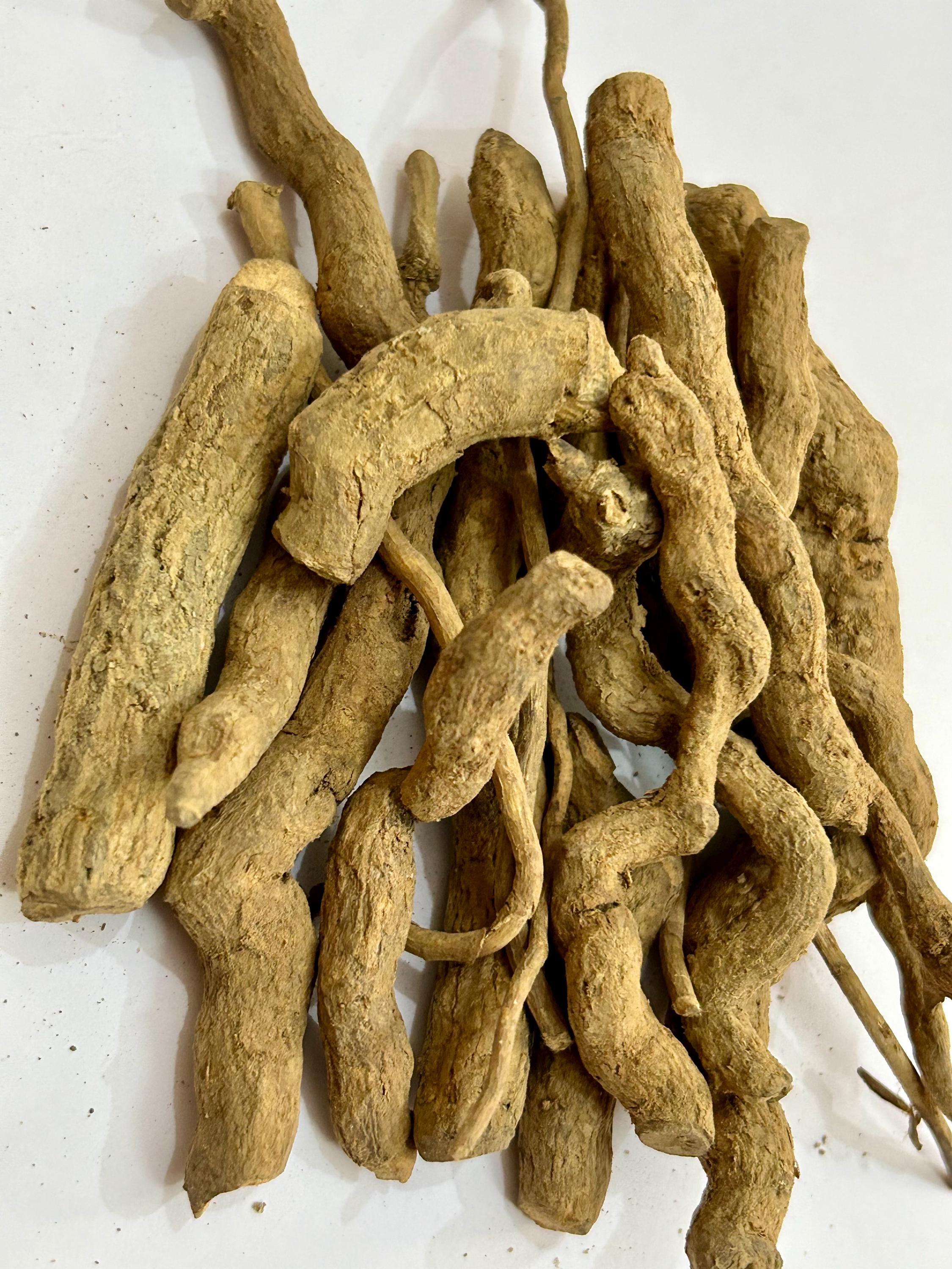 Sarpagandha (Dhavalbarua) - Indian snake root/Chota Chand, Dhaval Barua/Chivan Avalpori/Chivan Amalpodi/Adkayi/Rauvolfia serpentina/Sarpagandhi/Patala Garuda, Patalagani by keshav keshari