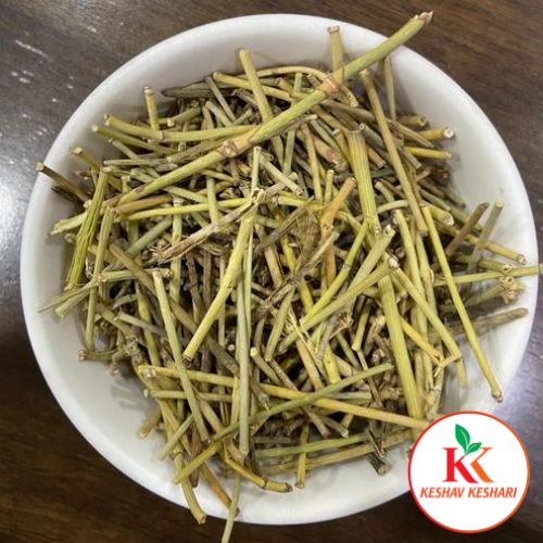 Somlata (Panchang) - Somavalli - Soma - Khanta - Ephedra Gerardiana by KeshavKeshari