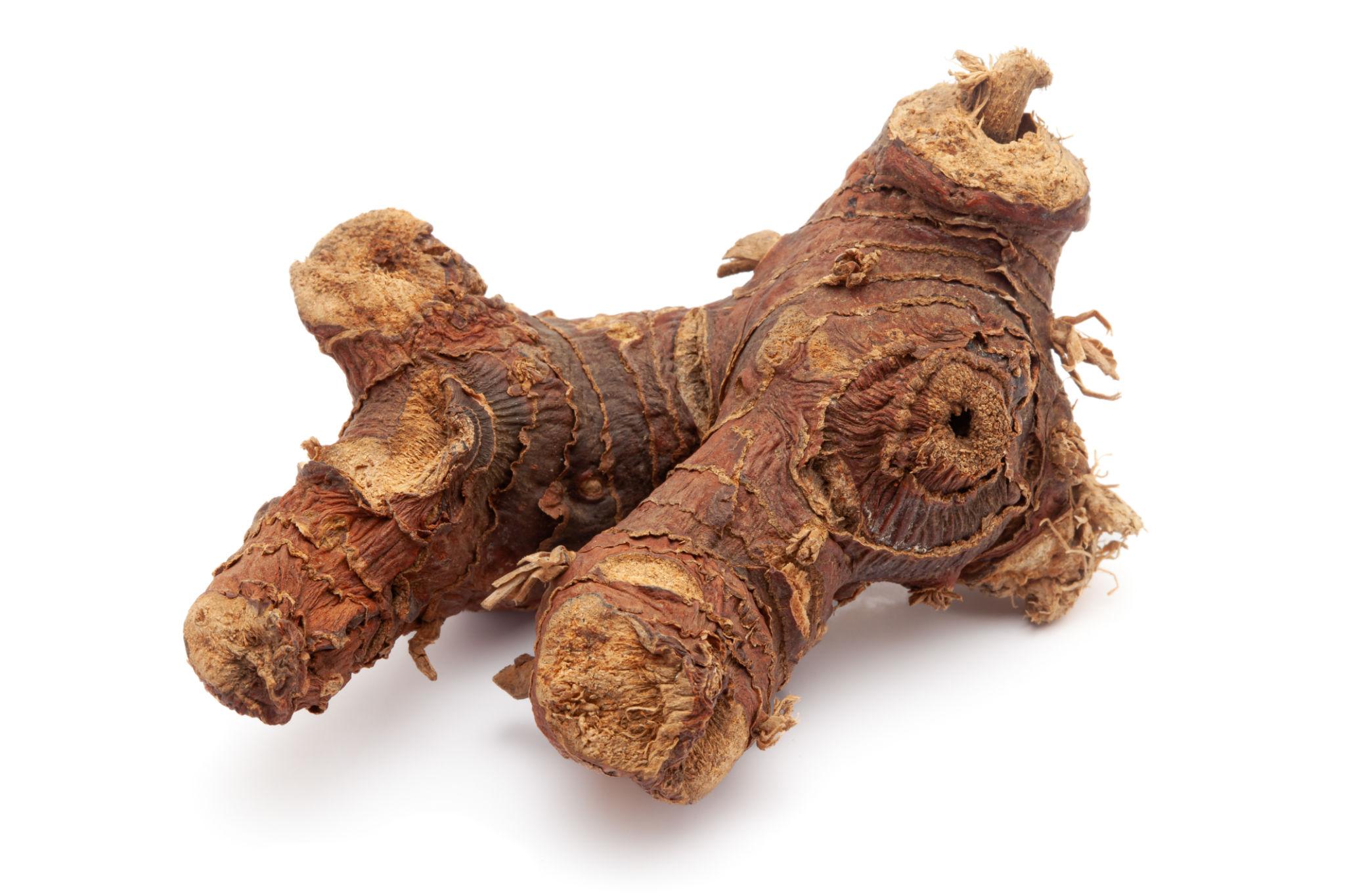 Kulanjan (Alpinia Galanga) – Ayurvedic Root for Digestive, Respiratory & Vitality Support by keshav keshari
