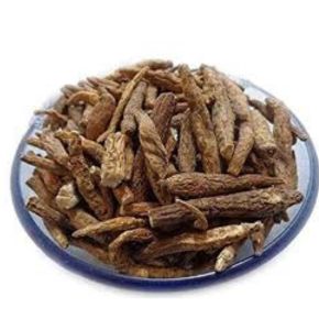 Atish Kadwi - Ativisha Bitter - Atiwisha - Ateesh - Aconitum heterophyllum by Keshav Keshari